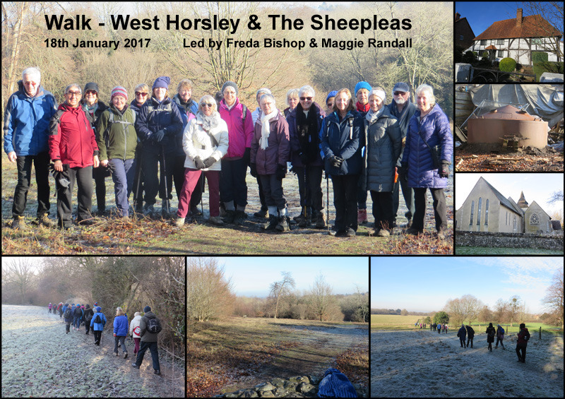 Walk - West Horsley and The Sheepleas - 18th January 2017